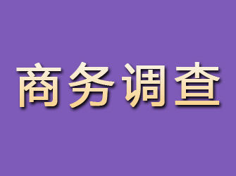 瀍河商务调查